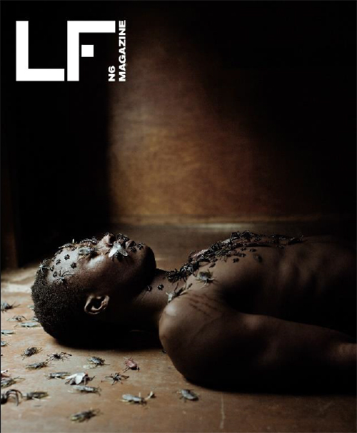 Revista LF- no. 6