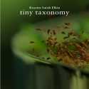 Tiny Taxonomy