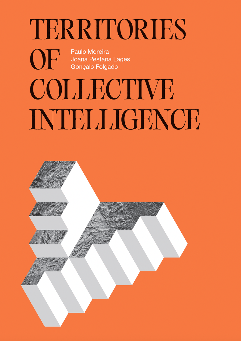 Territories Of Collective Intelligence